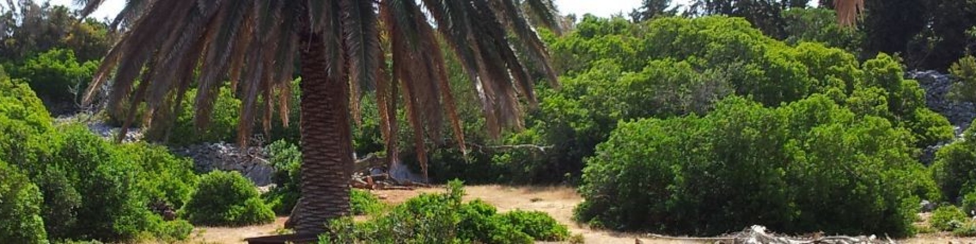 cropped-cropped-insel10_1600x23012.jpg