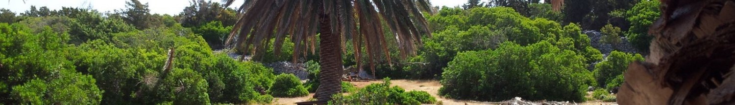 cropped-cropped-insel10_1600x230121.jpg