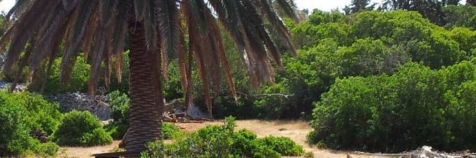 cropped-cropped-insel10_1600x230123.jpg