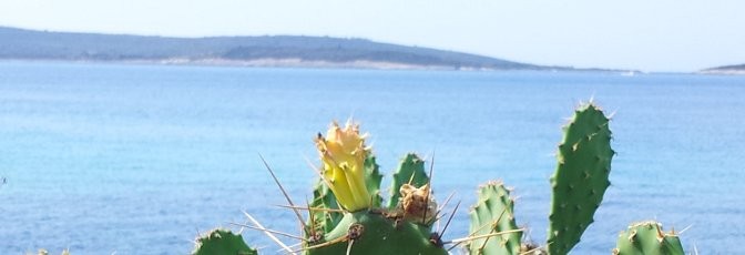 insel6_1600x2301