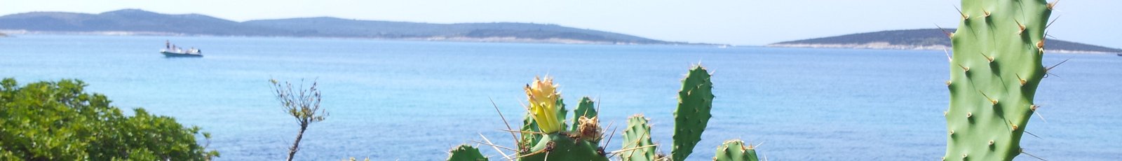 insel6_1600x2301